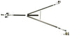COE2024.jpg