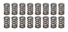 CRO68195-16.jpg