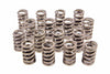 CRO68304-16.jpg