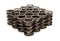CRO68340-16.jpg