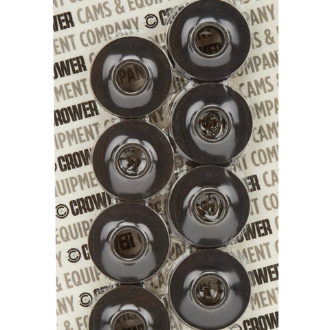 CRO68940-16.jpg