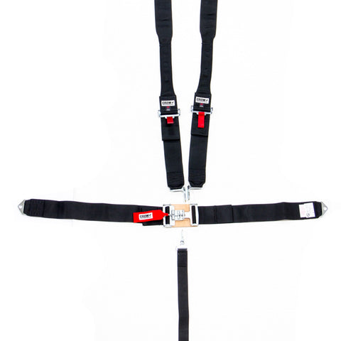 CRW11064-DB.jpg