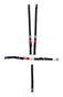 CRW11184A.jpg