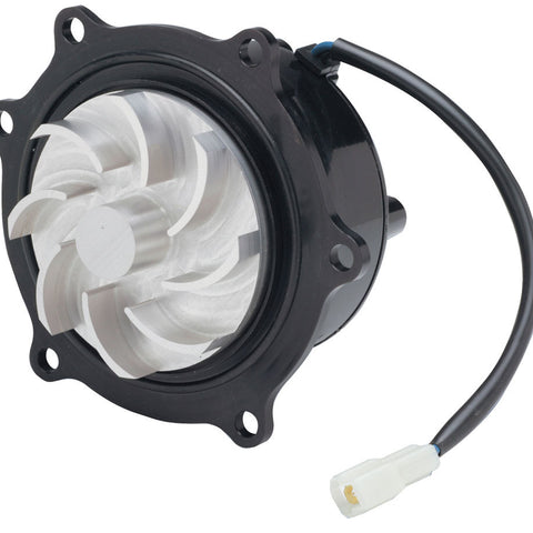 CVR6551.jpg