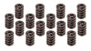 EDE5845.jpg