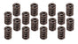 EDE5845.jpg
