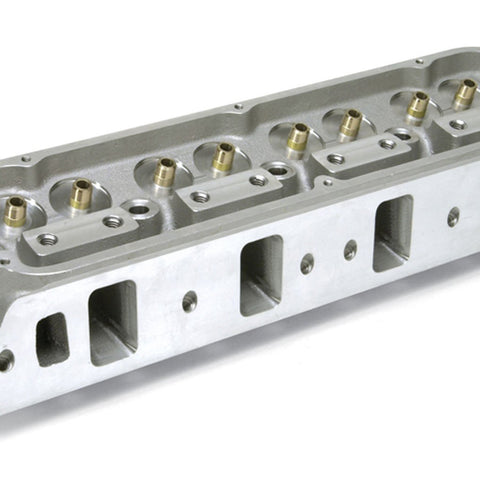 EDE77169.jpg