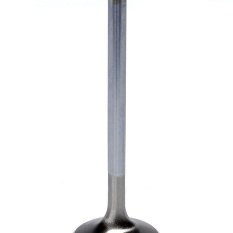FERF6235-1.jpg