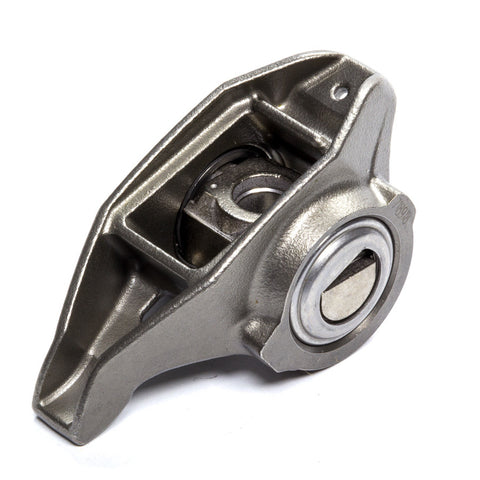 GMP12681275.jpg