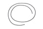 GMP19166181.jpg