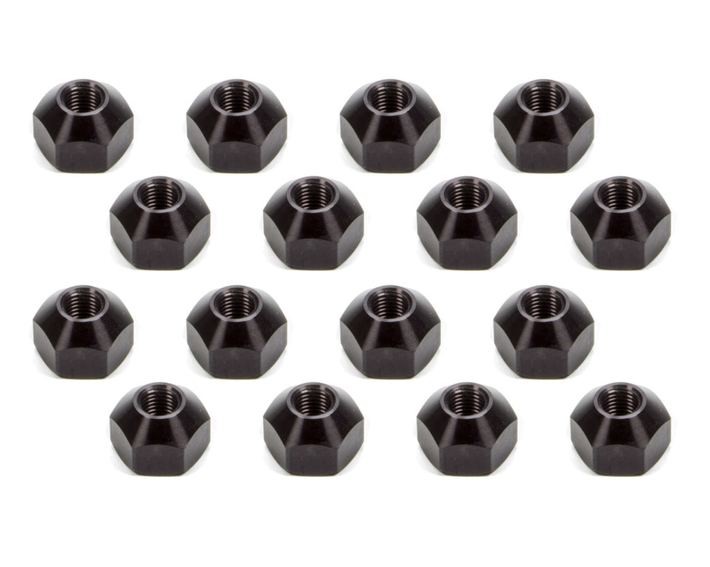KLU8203.jpg