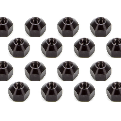 KLU8203.jpg