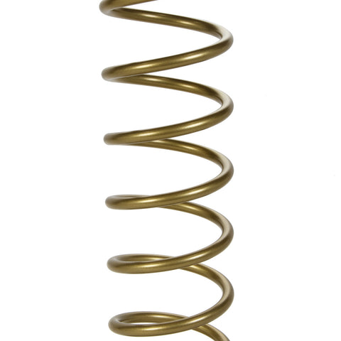 LANK18-100.jpg