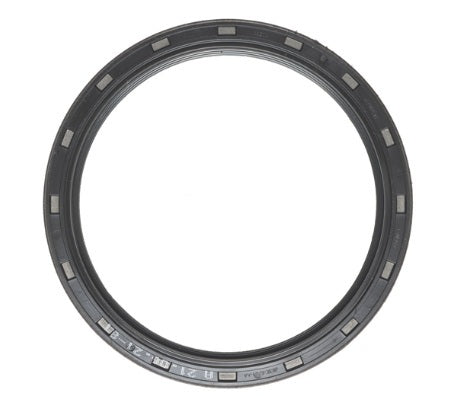 M7768115.jpg