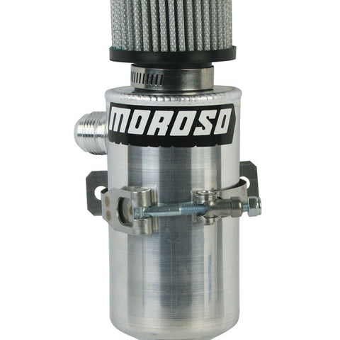 MOR85465.jpg