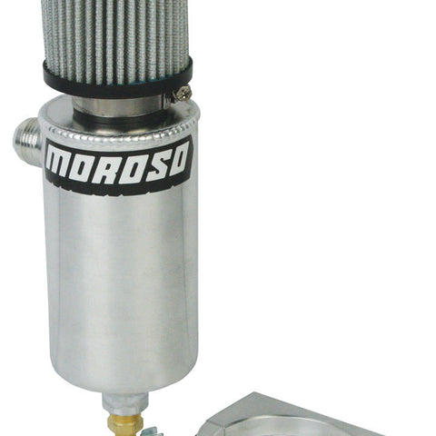 MOR85467.jpg