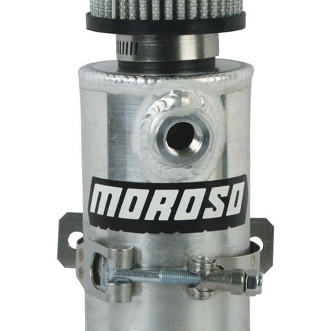 MOR85473.jpg