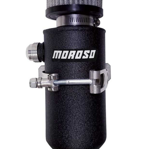 MOR85751.jpg