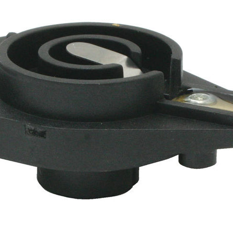 MOR97860.jpg