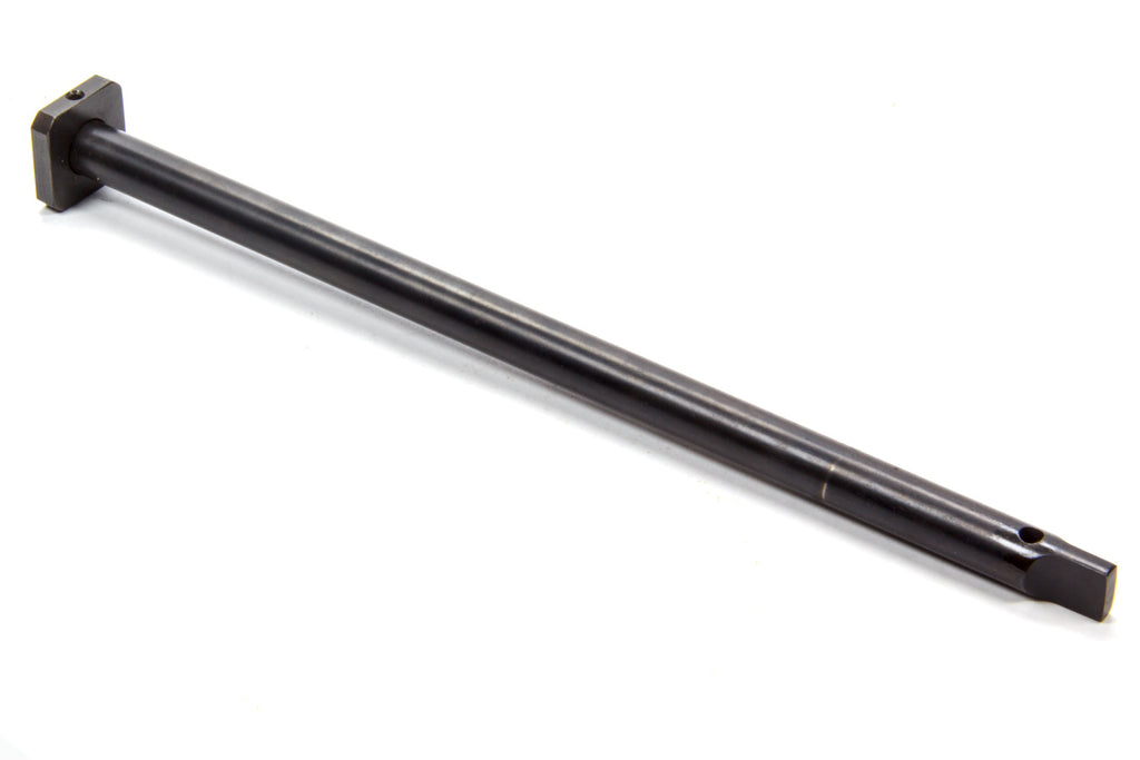 MSDASY15667.jpg