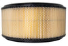 OTRR10524.jpg