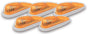 PCP20-206.jpg