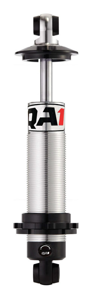 QA1DS304.jpg