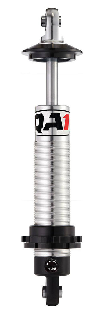 QA1DS501.jpg