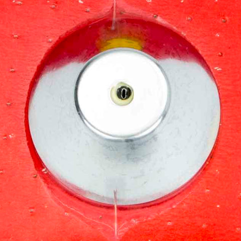 RPCR4973.jpg