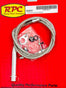 RPCR6051.jpg