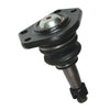 SPP94019.jpg