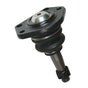 SPP94019.jpg
