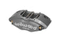 WIL120-8729.jpg