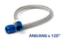 bluehose-6120.jpg